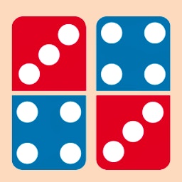 Domino Master Pro